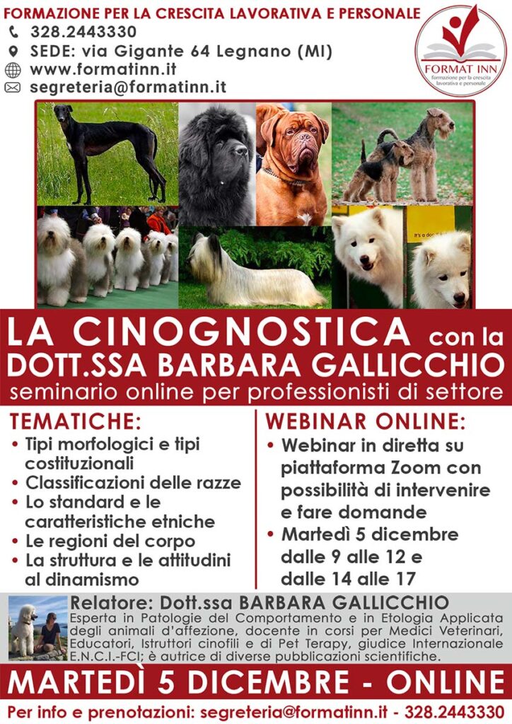 Toelettatura cani Legnano