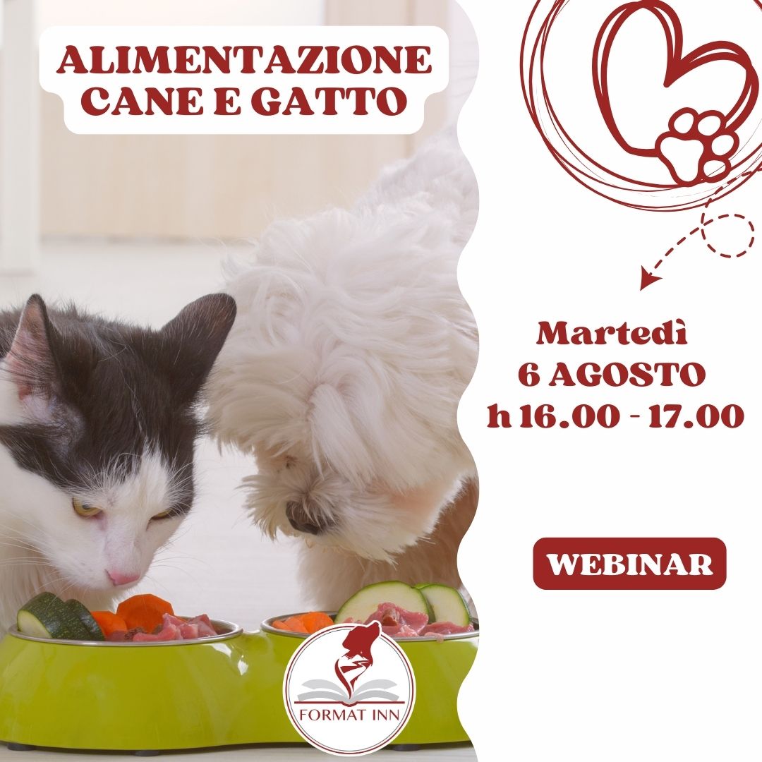 Alimentazione cane e gatto