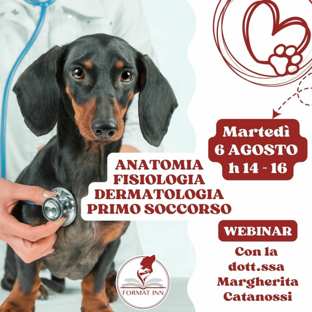 Anatomia Fiologia dermatologia Pronto soccorso