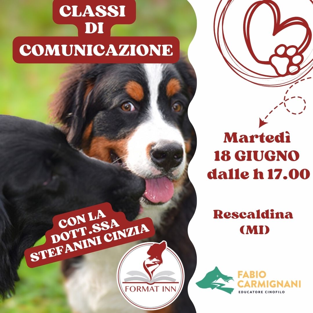 Classe di comunicazione giugno