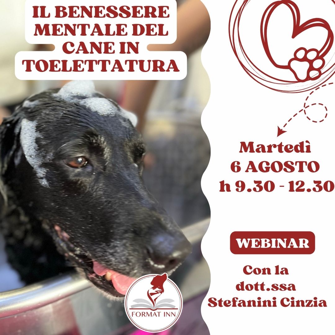 Il benessere mentale del cane in toelettatura