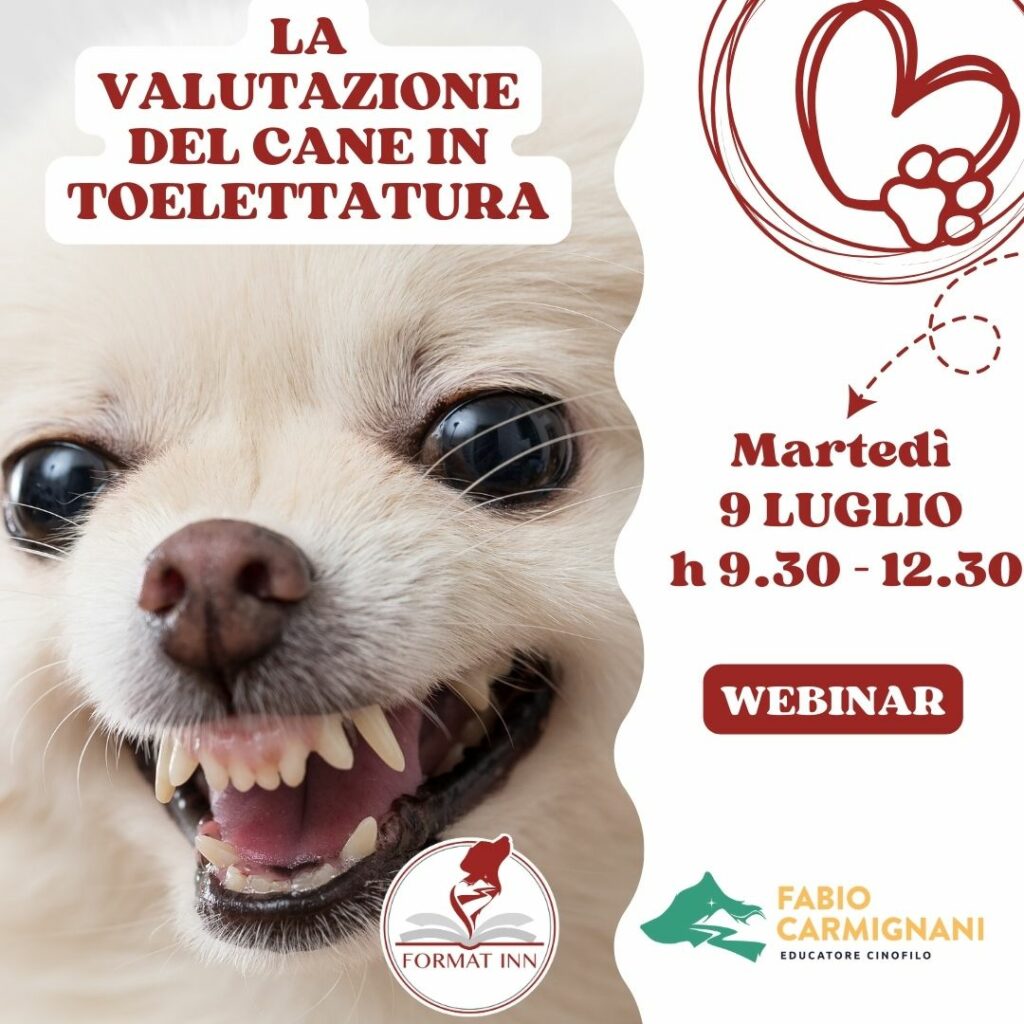 La valutazione del cane in toelettatura