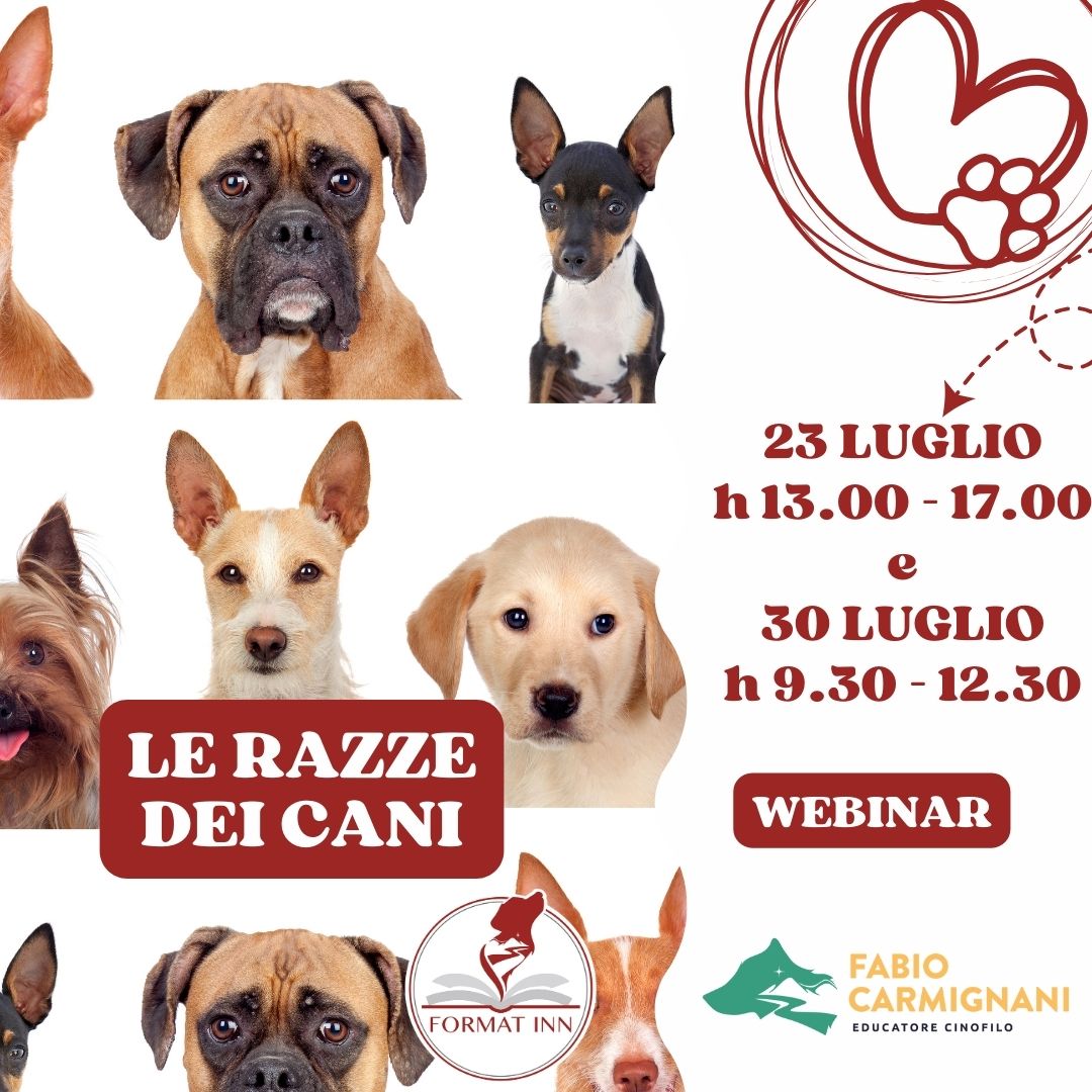 Le razze dei cani luglio