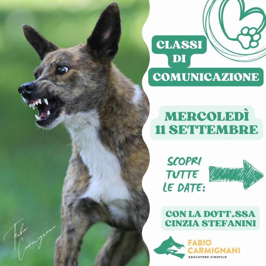 Classi di comunicazione settembre