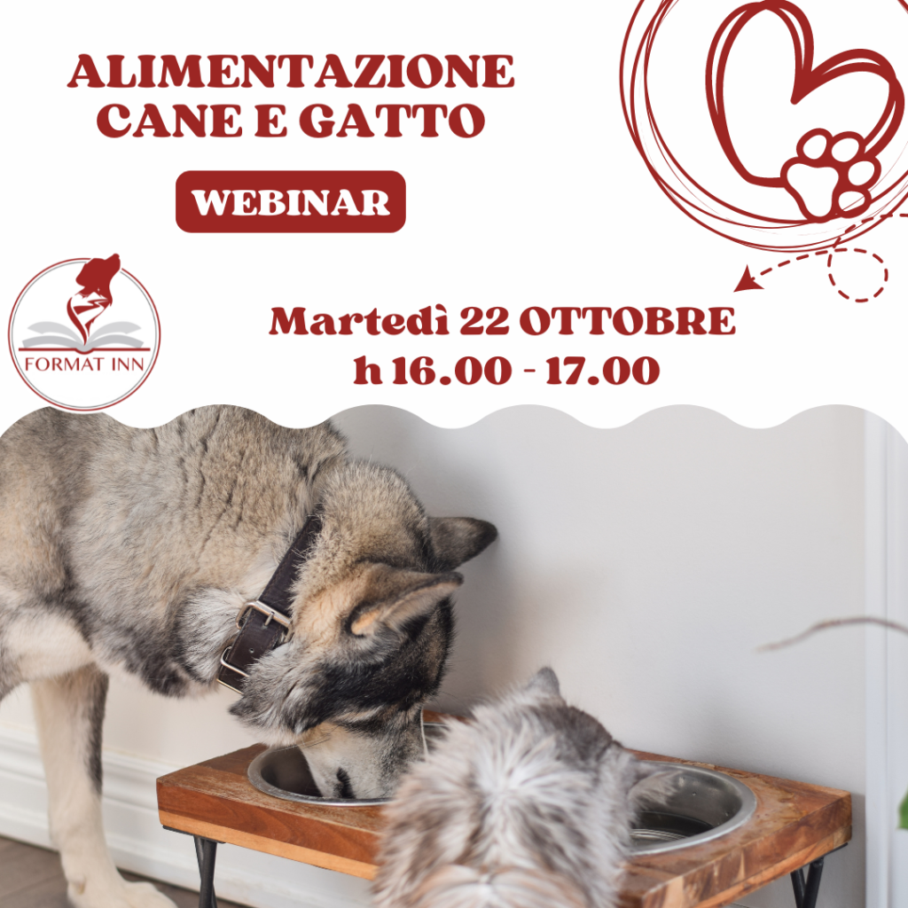 Alimentazione cane e gatto