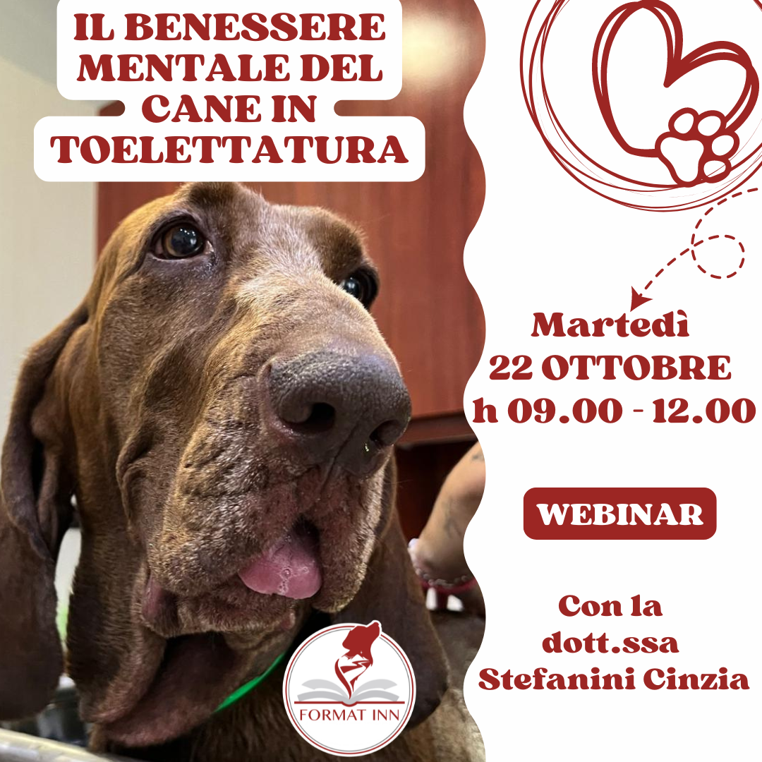 Il benessere mentale del cane in toelettatura