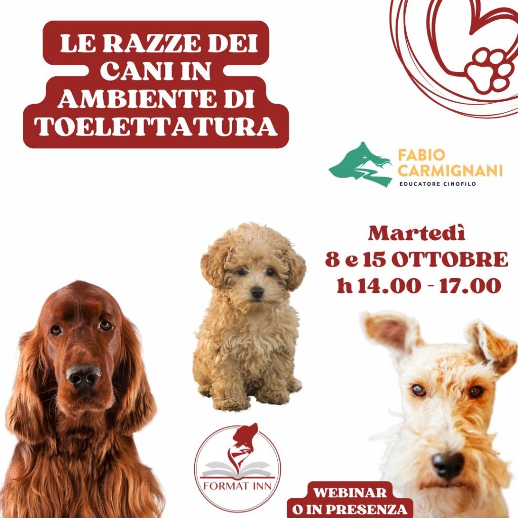 Le razze dei cani in ambiente troelettatura