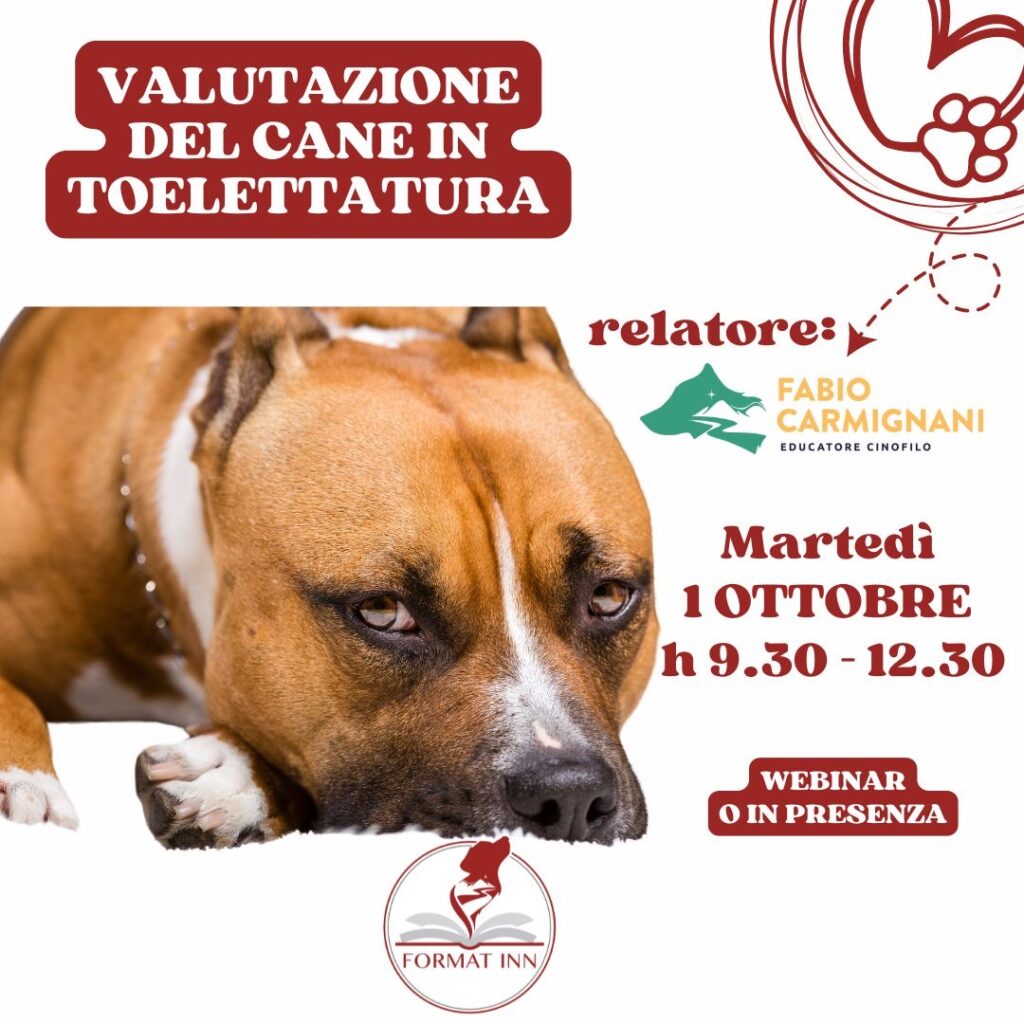 Valutazione del cane in toelettatura